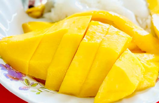 産地レポート マンゴー