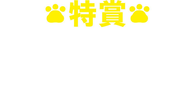 特賞