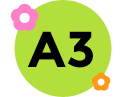Q3