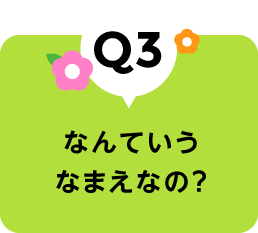なんていうなまえなの？