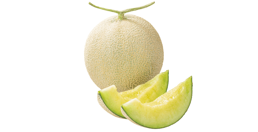 musk melon