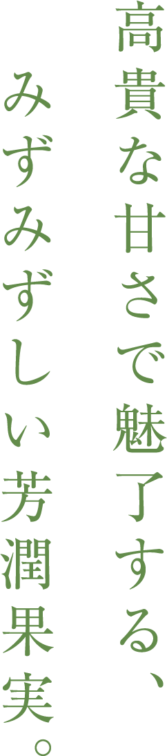 高貴な甘さで魅了する、　みずみずしい芳潤果実。