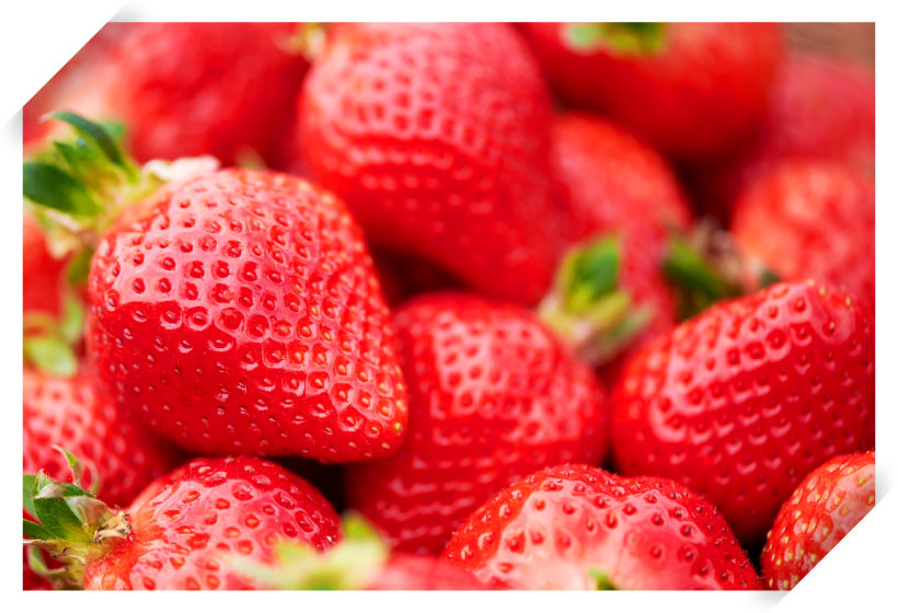 福岡県産「あまおう」の推しポイントとは!?