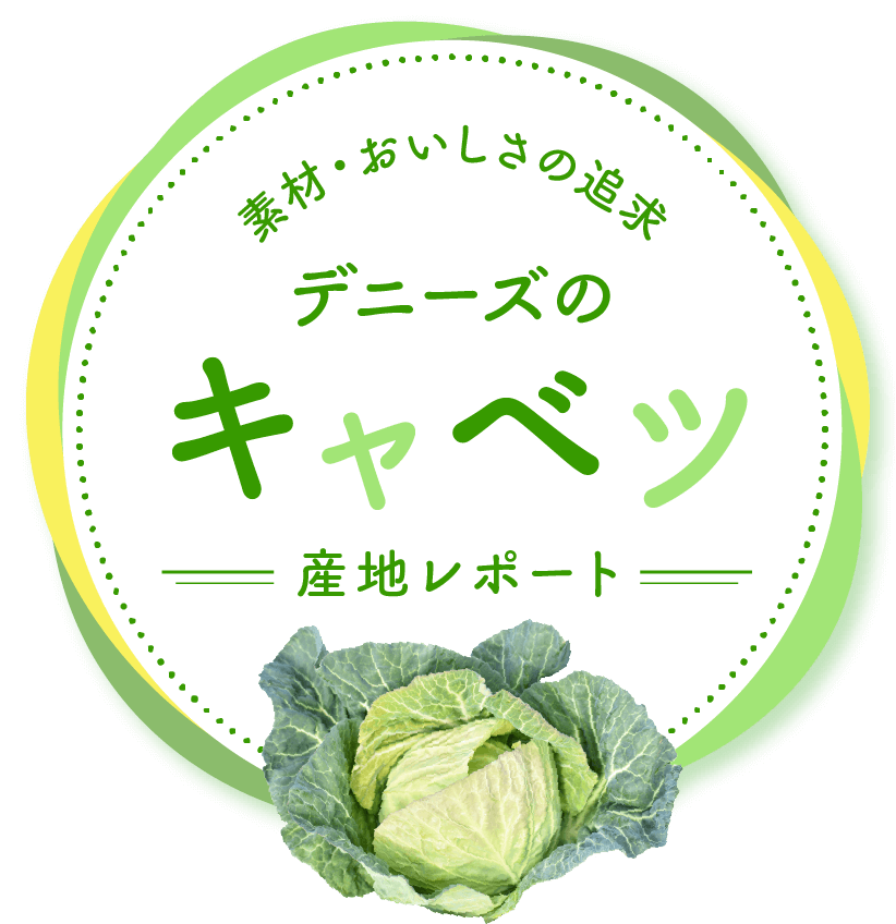 素材・おいしさの追求~デニーズのキャベツ産地レポート