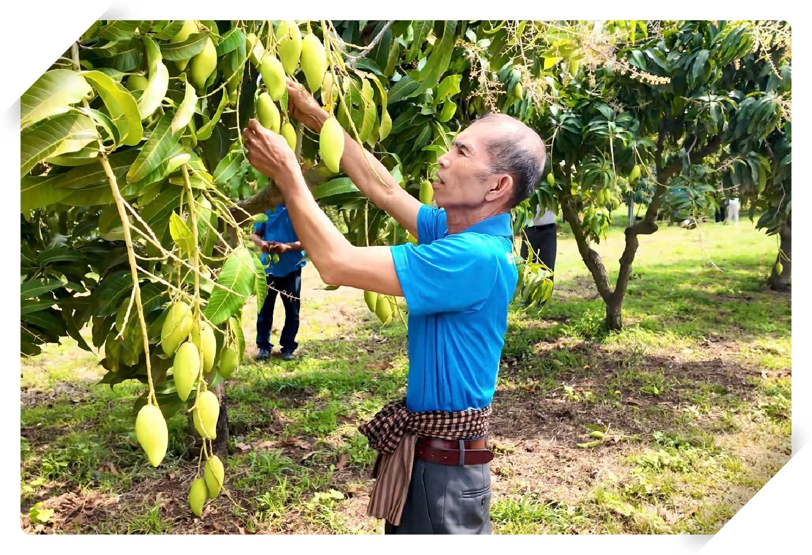 「ナンドクマイ」が出来るまで