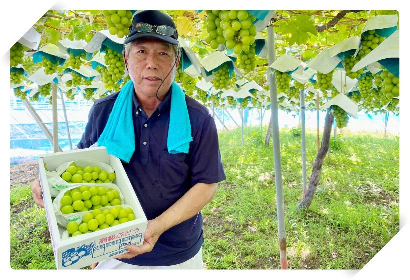 美味しいシャインマスカットとは?