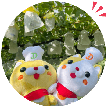 クイーンルージュ ® とは？
