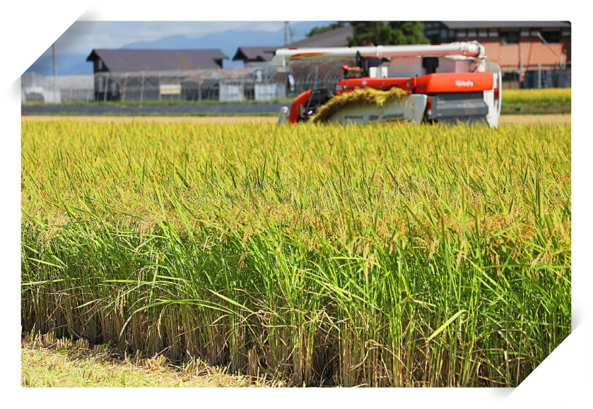 米どころ秋田!美味しいお米が育つ4つの理由