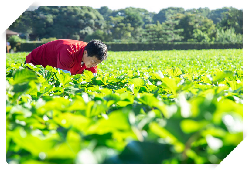 想いが育む確かな技術
