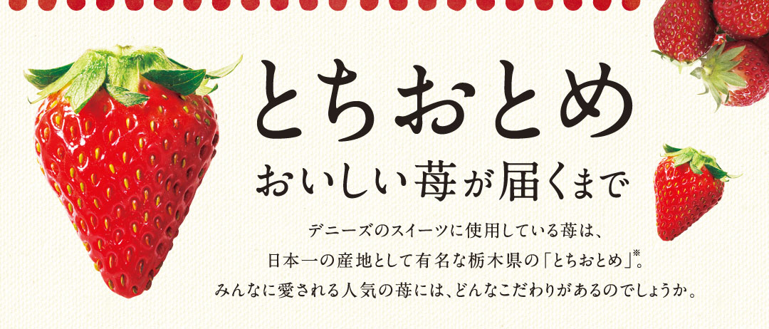 素材・おいしさの追求～デニーズのいちご